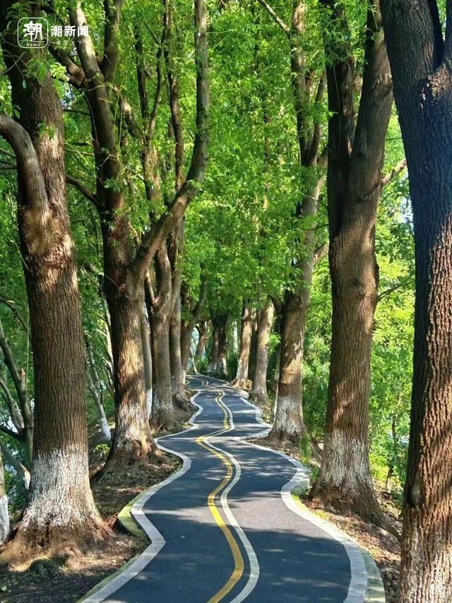 2026，我们与你续写旅途故事