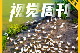 河南日报“视觉周刊”第5期（2024.8.17-8.23）图片