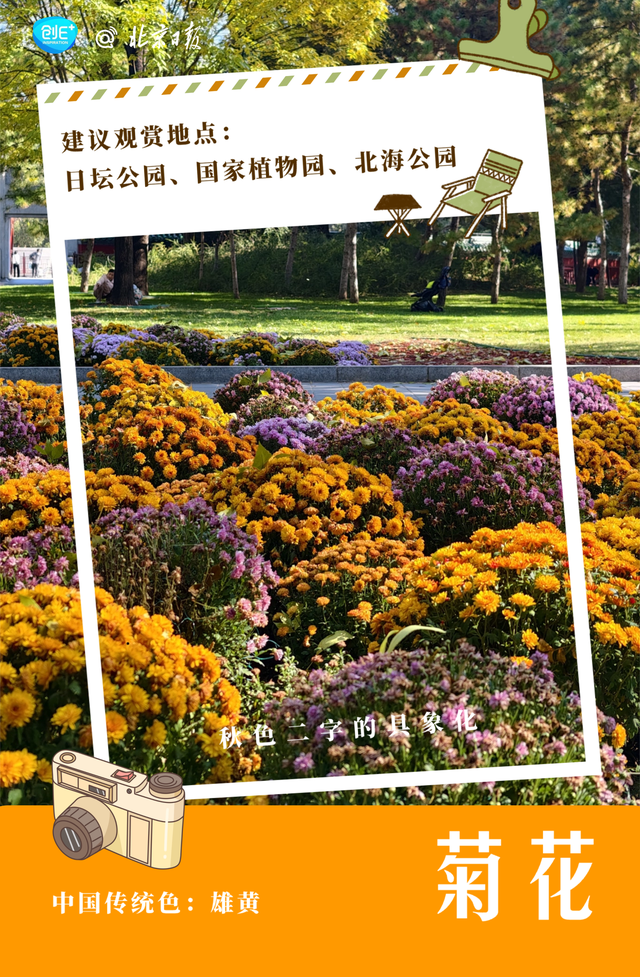 不只有红叶，北京的秋色能有多惊艳