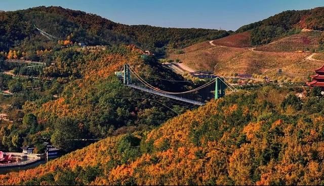 威海环翠区：初冬不寂色 彩林栈道绘就壮美画卷