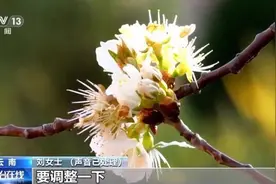 月薪8万元还附带“免费”整形？小心落入“美丽贷”骗局图片