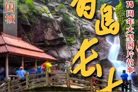 青岛长大了 | 第五辑 绿荫围城图片