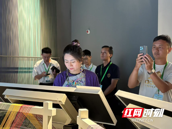 张吉怀E起游侧记 ① | 从陆港到非遗园，怀化这场穿越之旅让媒体大V直呼过瘾