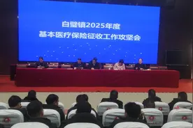 安阳县白璧镇：扎实推进2025年度城乡居民医保缴费工作图片