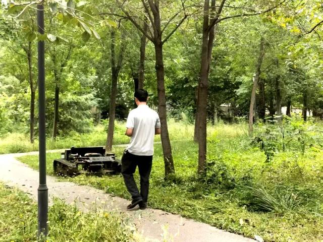 青州市云驼风景区运行服务中心：聚焦景区品质提升 持续推进设施维护