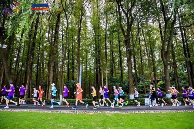 秋光正好，金陵邀约：南马选手景区&交通福利公布！