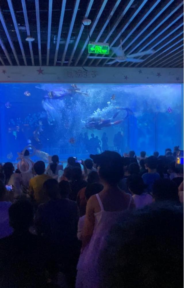 重庆一主题公园表演“奥特曼打怪兽”走红网络，演员：小朋友欢呼给了我们动力