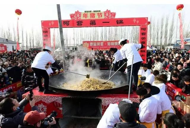 这个冬天，猫在巴彦淖尔才是幸福事