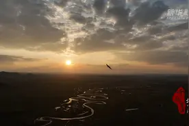 千城百县看中国｜内蒙古：“鸟中大熊猫”黑鹳现身锡林河畔图片