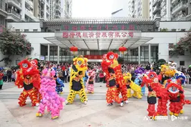 大年初十猎德村巡游迎春，城央大型巡游，队伍长达300米图片