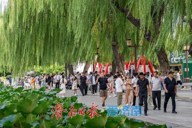 一年四季 泉在济南丨错峰旅游正当时，金秋体验更超值