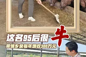 95后高州新农人养了一支“牛兵团”|我在家乡筑梦想①图片
