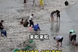 台风"苏拉"过境广东 汕头等地海滩现大量海鲜图片