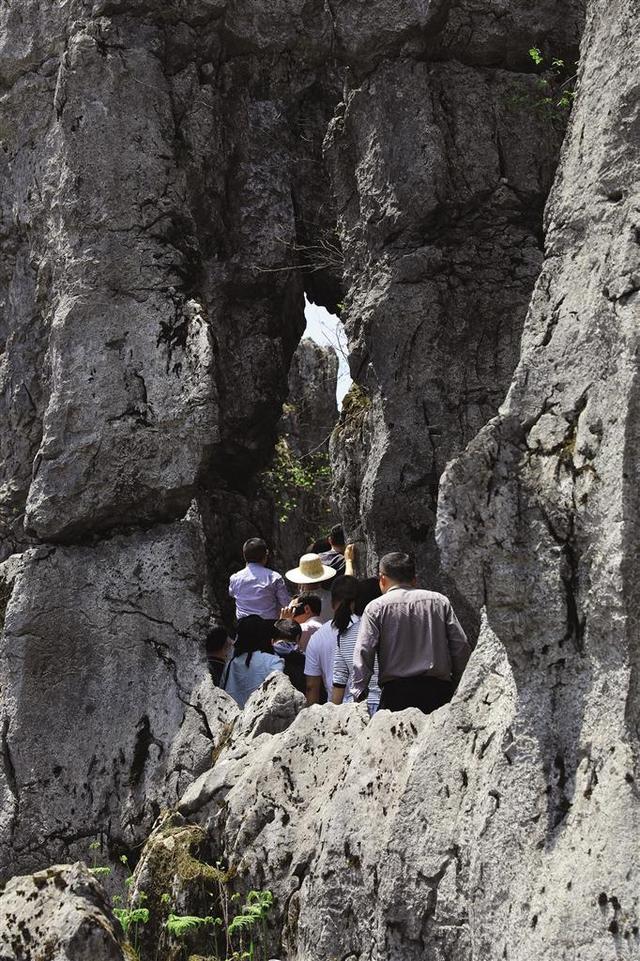 田力丨凹凸不平的洛塔