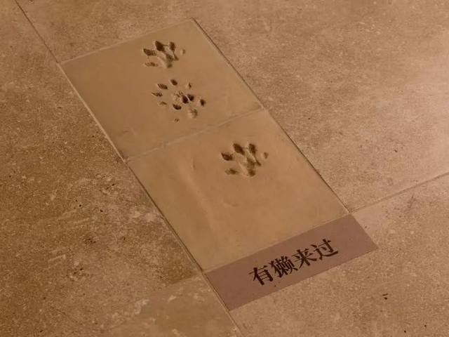 连休五天，浙L大部队已到……