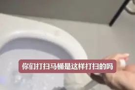 冲上热搜！酒店用马桶刷蘸马桶水刷洗马桶被女子发现，网友炸锅图片