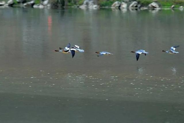初冬高饱和度美景，还得看洛阳！