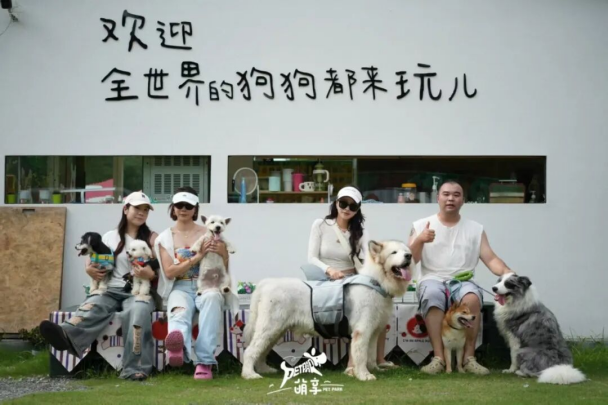 南京：一顶帐篷，撑起浦口的诗意