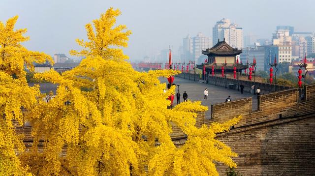 祖国秋景美到啥程度？处处是绝色大片！