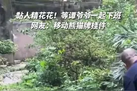 黏人精花花！等谭爷爷一起下班 网友：移动熊猫牌挂件图片