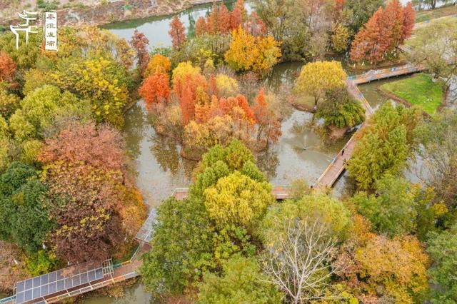 秦淮citywalk｜七桥瓮湿地公园