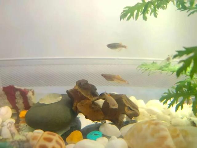 这些“微活瞬间”，是2025年的幸福具象