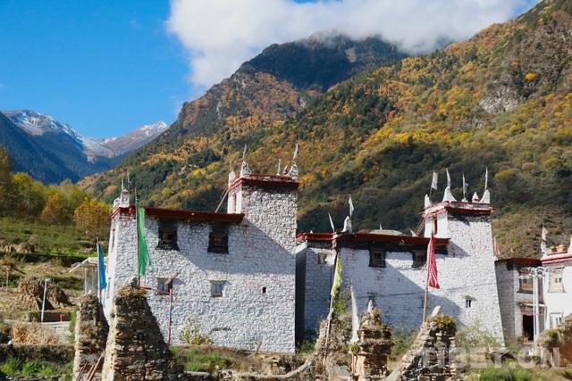 “大鹏翼”下的守望：一位守护者的百年博物馆