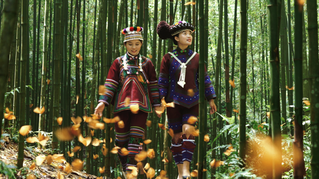 一周之内两次被外交部“种草”，红河凭什么？