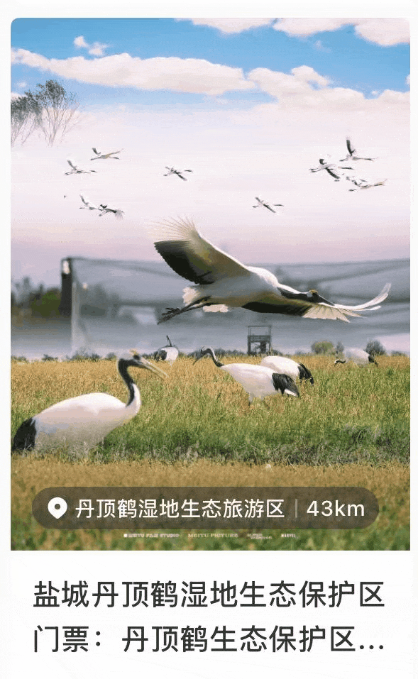 跟着达人一起打卡盐城限定秋景~
