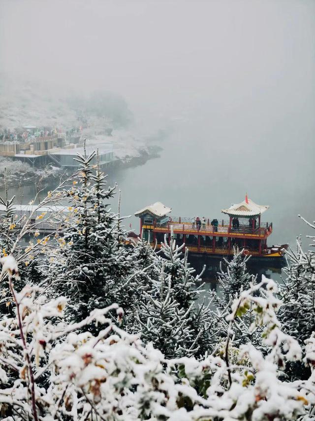 天山柔雪落，静听一池秋