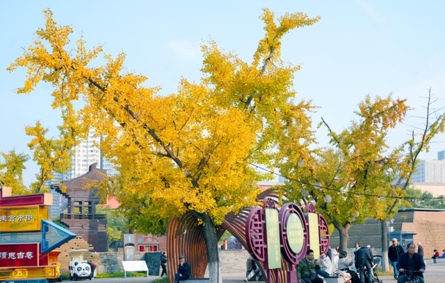 秋风引路入曲江，芙蓉金叶映红墙