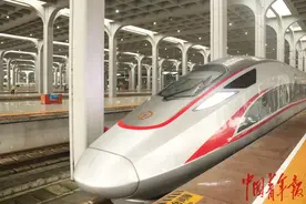 “引老乡、回家乡、建家乡” 重庆外出务工人员乘“返乡专列”回家图片