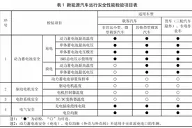 新能源车年检新规2025年3月正式实施图片