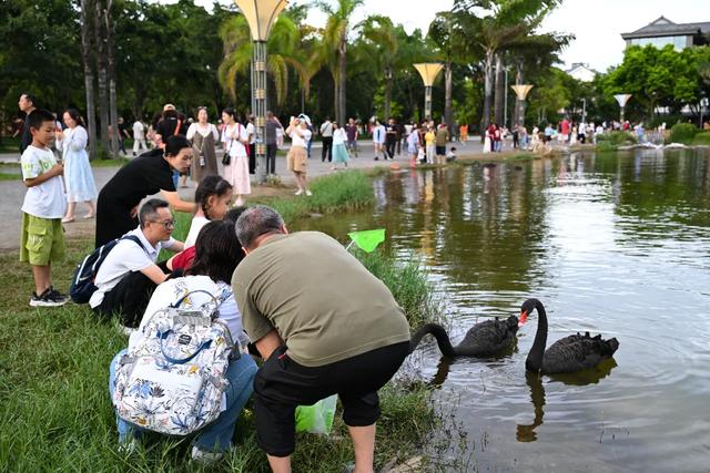 外地高温40℃，云南还要穿长裤，来感受独一份清凉