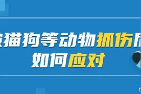被猫狗抓伤后，这些救命操作速看！图片
