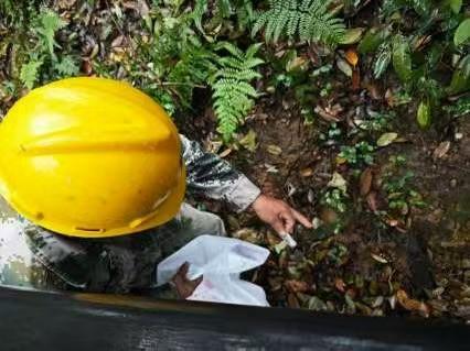 登山台阶的反光贴塑料薄膜直接扔山里？马家坞管理方：已完成清理