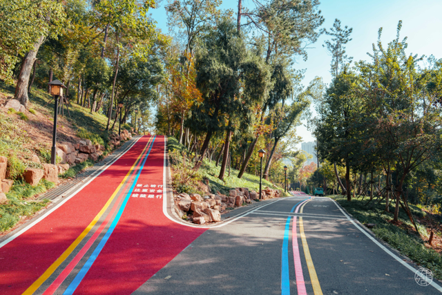 漫步彩虹、栈道追风，东湖徒步新线路美翻了！