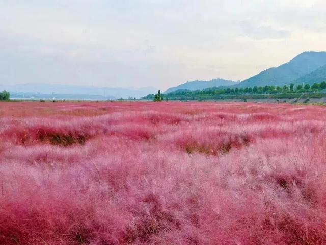 孟津、汝阳赏秋玩法上新！这份攻略快收好