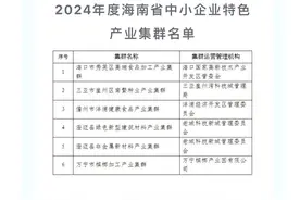 6个集群入选！​2024年度海南省中小企业特色产业集群名单公示图片