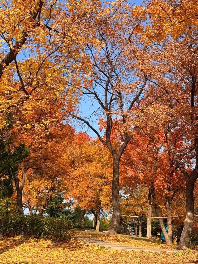 听说周末的石门坊挤爆了？哎，我有一计！