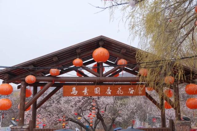 跟着蒙超去旅行，免费游景区、免费看电影、免费嗨玩......秘诀在这里！