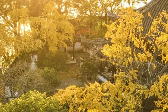 美翻了！南湖，正是红橙黄绿时