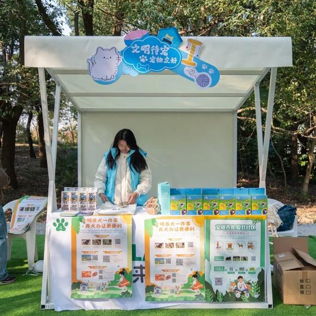 元旦3天狂欢，萌宠+亲子+美食一站打卡