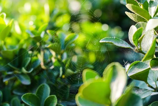 邯郸冀南新区丨初冬美景入画来~