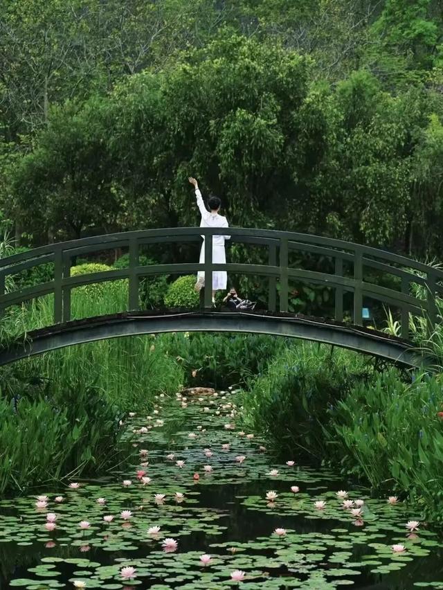 双节同庆 乐游南宁 | 2025中秋国庆嗨玩绿城线路来啦！这个假期就约在南宁吧