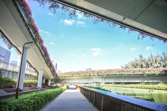 深圳知名景区紧急通知！