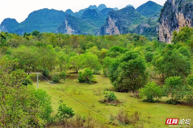 岁暖时刻丨桂林乌桕滩：晨露沾帐篷，午风摇竹影，暮色染峰林