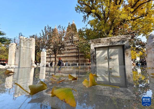 北京：五塔寺秋色浓