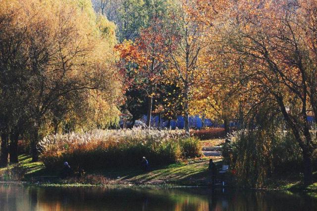 还在找威海初冬小众打卡地？这条河岸藏着惊喜