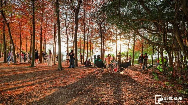 满屏粉红！福州美成童话！